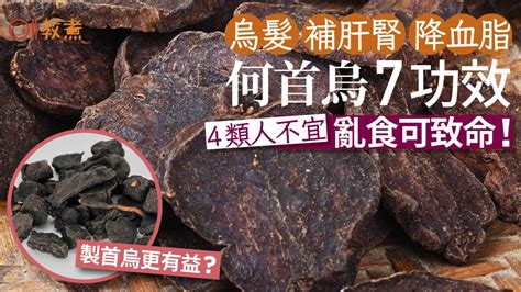 何首烏藥膳功效|何首烏：全面了解及其食用禁忌、功能和方法 – 杏壇中。